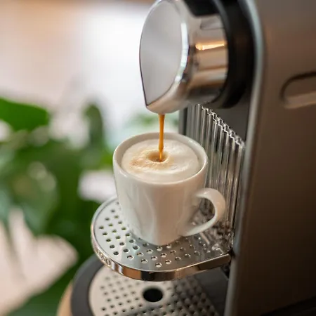 Modernes - Basel, Kur & Golf Διαμέρισμα Bad Bellingen